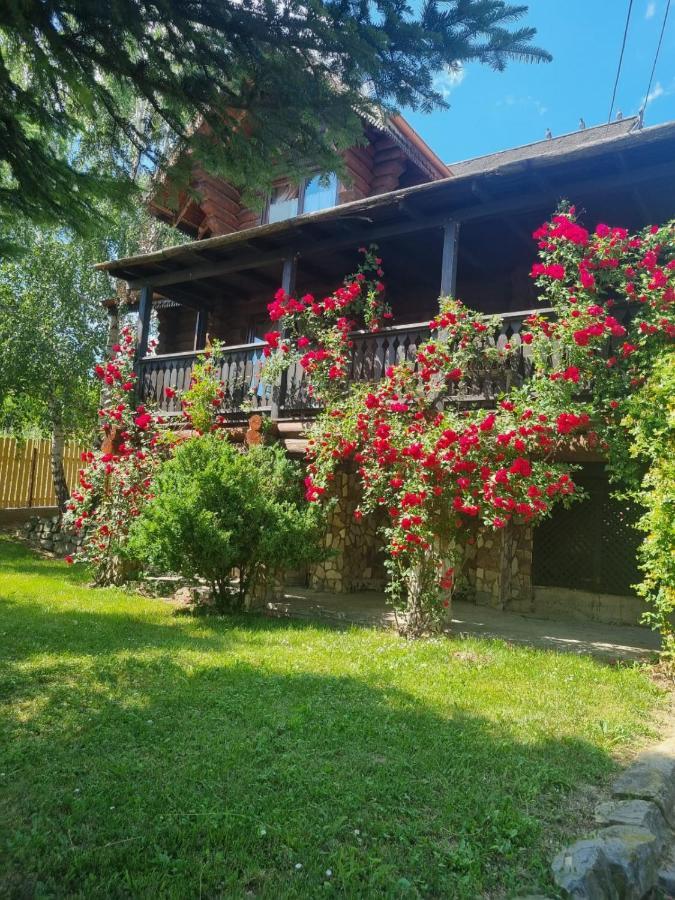 Cabana Haiducului Soveja Εξωτερικό φωτογραφία
